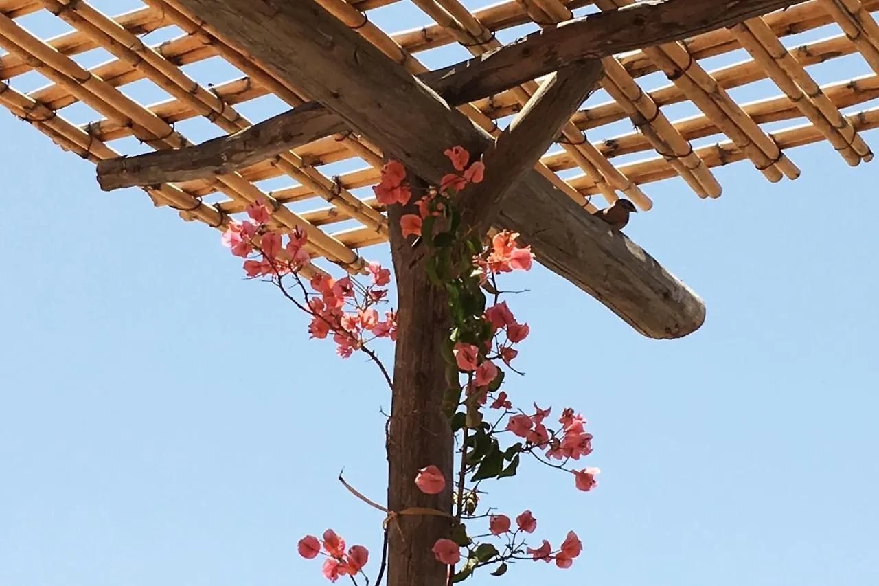 Riad Of The Storks - Exclusive Use For Up To 17 Persons Marrakesh